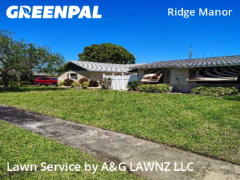 Grass Cut nearby Merritt Island, FL, 