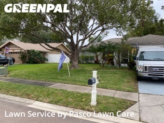 Grass Cutting nearby Palm Harbor, FL, 