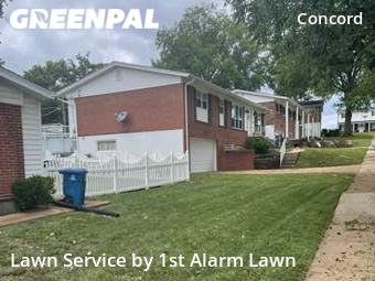 Lawn Maintenance nearby St. Louis, MO, 