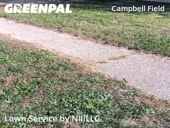 Grass Cutting nearby Muskegon, MI, 