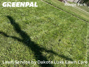 Lawn Mowing nearby Detroit, MI, 