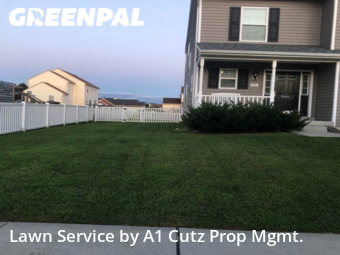 Lawn Cut nearby Smyrna, DE, 
