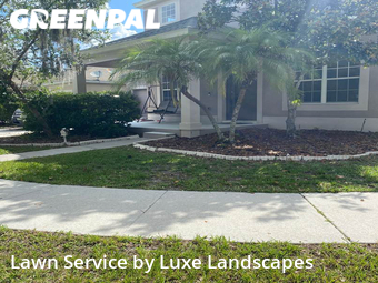 Lawn Cut nearby Windermere, FL, 