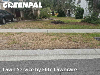 Lawn Cut nearby Tampa, FL, 