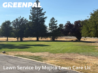 Work completed by grass-cutting-businesses-in-Elk Grove-CA