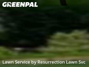 Lawn Cut nearby Gibsonville, NC, 