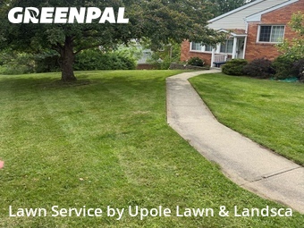 Lawn Cut nearby Bethel Park, PA, 