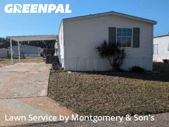 Lawn Cut nearby Lakeland, FL, 