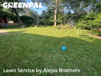 Lawn Carein Evanston,60203,Lawn Maintenance by Alejos Brothers, work completed in Nov , 2025