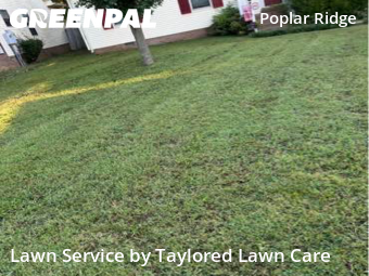 Lawn Mowing Service nearby Nashville, TN, 