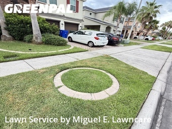 Grass Cut nearby Kissimmee, FL, 