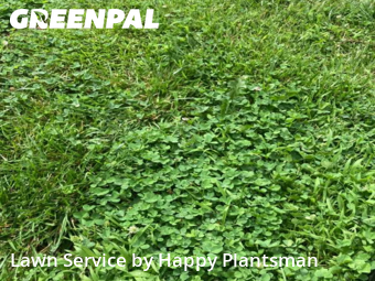 Yard Management in Huber Heights, 45424, Lawn Mowing by Happy Plantsman, work completed in Oct , 2025