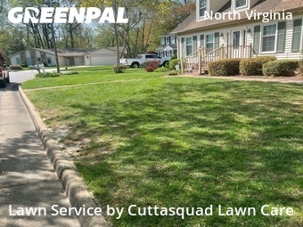 Lawn Cut nearby Virginia Beach, VA, 