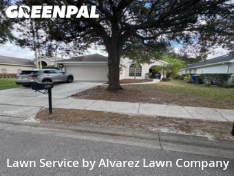 Grass Cutin Ocoee,34761,Lawn Care by Alvarez Lawn Company, work completed in Jan , 2026