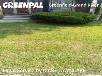 Yard Cutting nearby Detroit, MI, 