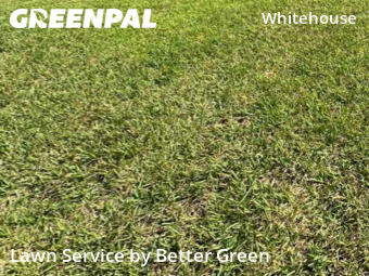Lawn Care nearby Jacksonville, FL, 