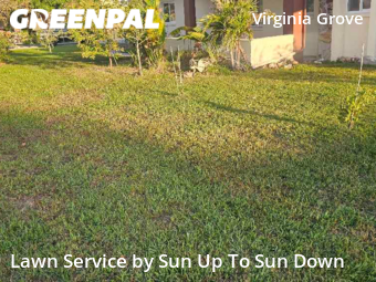 Lawn Service nearby Clearwater, FL, 