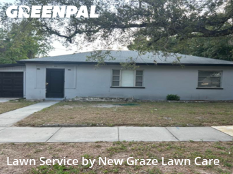 Lawn Mow nearby Clearwater, FL, 