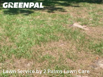 Lawn Cutting nearby Longwood, FL, 