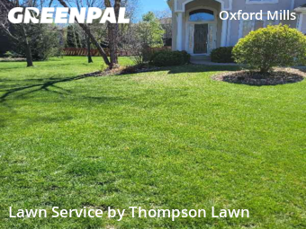 Lawn Mow nearby Overland Park, KS, 