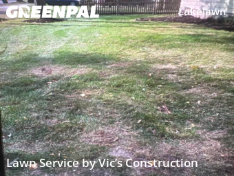 Lawn Service nearby Joliet, IL, 