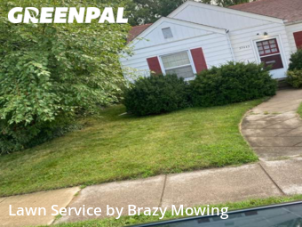 Landscaping Maintenance in Wayne, 48184, Weed Trimming by Brazy's Mowing Llc, work completed in Nov , 2025