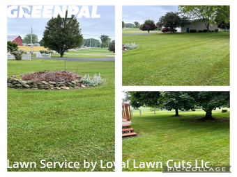 Lawn Cut nearby Vermilion, OH, 