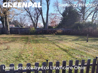 Lawn Cutting in Columbus, 43221, Yard Care by Eco Lawncare Ohio, work completed in Nov , 2025