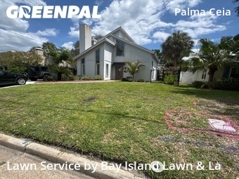 Lawn Care Servicein Tampa,33629,Lawn Mowing Service by Bay Island Lawn & La, work completed in Jun , 2026