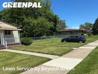 Grass Cut nearby Ecorse, MI, 
