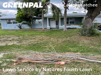 Lawn Mow nearby Cape Coral, FL, 