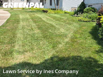 Lawn Maintenancein Orland Park,60462,Lawn Care Service by Ines Company, work completed in Nov , 2025
