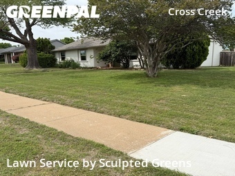 Lawn Care Service nearby Plano, TX, 