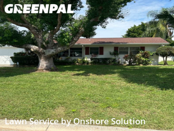 Lawn Care Service nearby Dunedin, FL, 