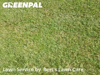 Lawn Cutting nearby Boynton Beach, FL, 