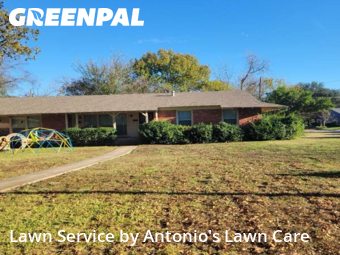 Landscaping Renovation In Dallas,75218,Landscaping Renovation by Antonio's Lawn Care, work completed in Dec , 2025