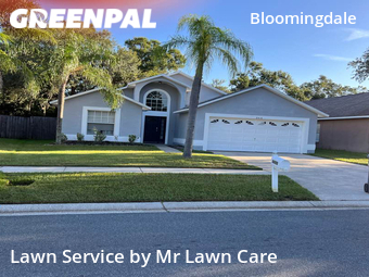 Lawn Mowing Service nearby Bloomingdale, FL, 