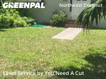Grass Cut nearby Miami, FL, 