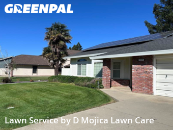 Grass Cut nearby Elk Grove, CA, 