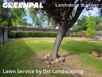 cheap-lawn-cutting-businesses-in-Sacramento-CA