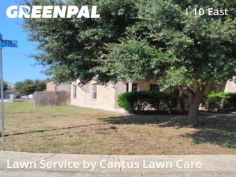 Lawn Cuttingin Converse,78109,Grass Cutting by Cantus Lawn Care, work completed in Dec , 2025