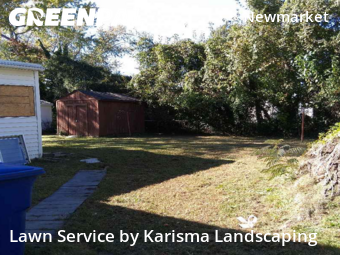 Yard Grooming in Newport News, 23605, Yard Services by Karisma Landscaping, work completed in Oct , 2025