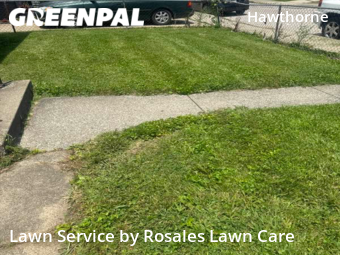 Yard Cutting nearby Indianapolis, IN, 