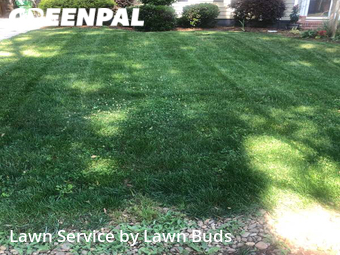 Lawn Service nearby Charlotte, NC, 