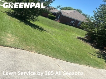 Grass Cut nearby Grovetown, GA, 