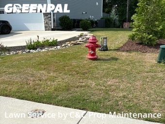 Lawn mowed in Chapel Hill, 27517