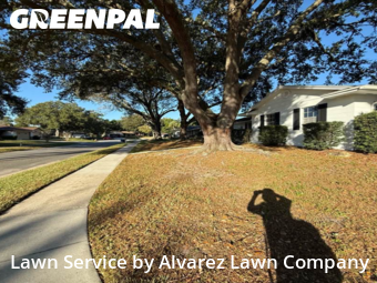 Lawn Care Servicein Winter Park,32792,Lawn Service by Alvarez Lawn Company, work completed in Nov , 2025