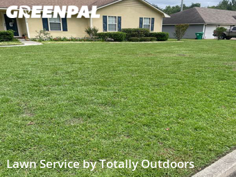 Yard Cutting nearby Valdosta, FL, 