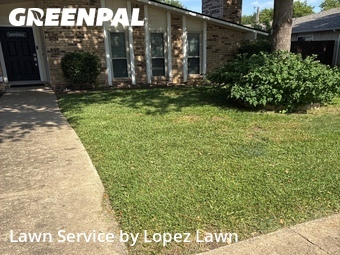 Grass Cut nearby Grand Prairie, TX, 