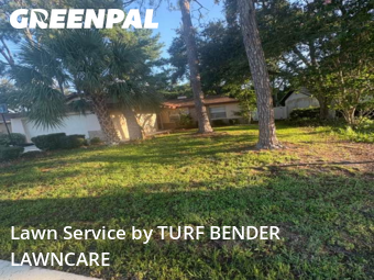 Grass Cutting nearby Oldsmar, FL, 